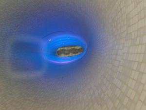 arrampicati sul vetro di uno dei pozzi di luce