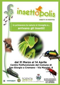 insettopolis