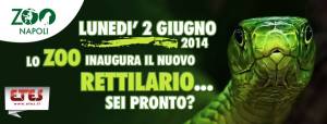 rettilario_zoo