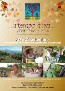 vendemmia 2014 fronte