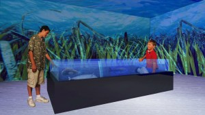 Microsoft PowerPoint - Le mostre di fr