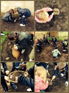 1454747_562453690490835_737875347_n