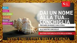 conchiglie città della scienza