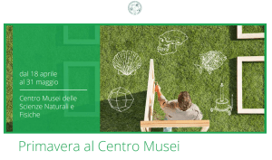 primavera centro musei