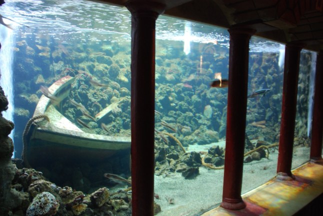 acquario2