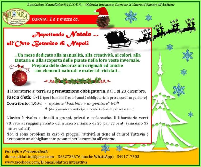 aspettando natale