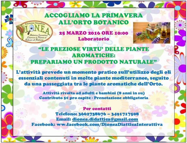 FB_IMG_1458541670529