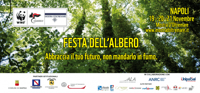 Invito-per-Sito-Notizie-2-e1510906882194